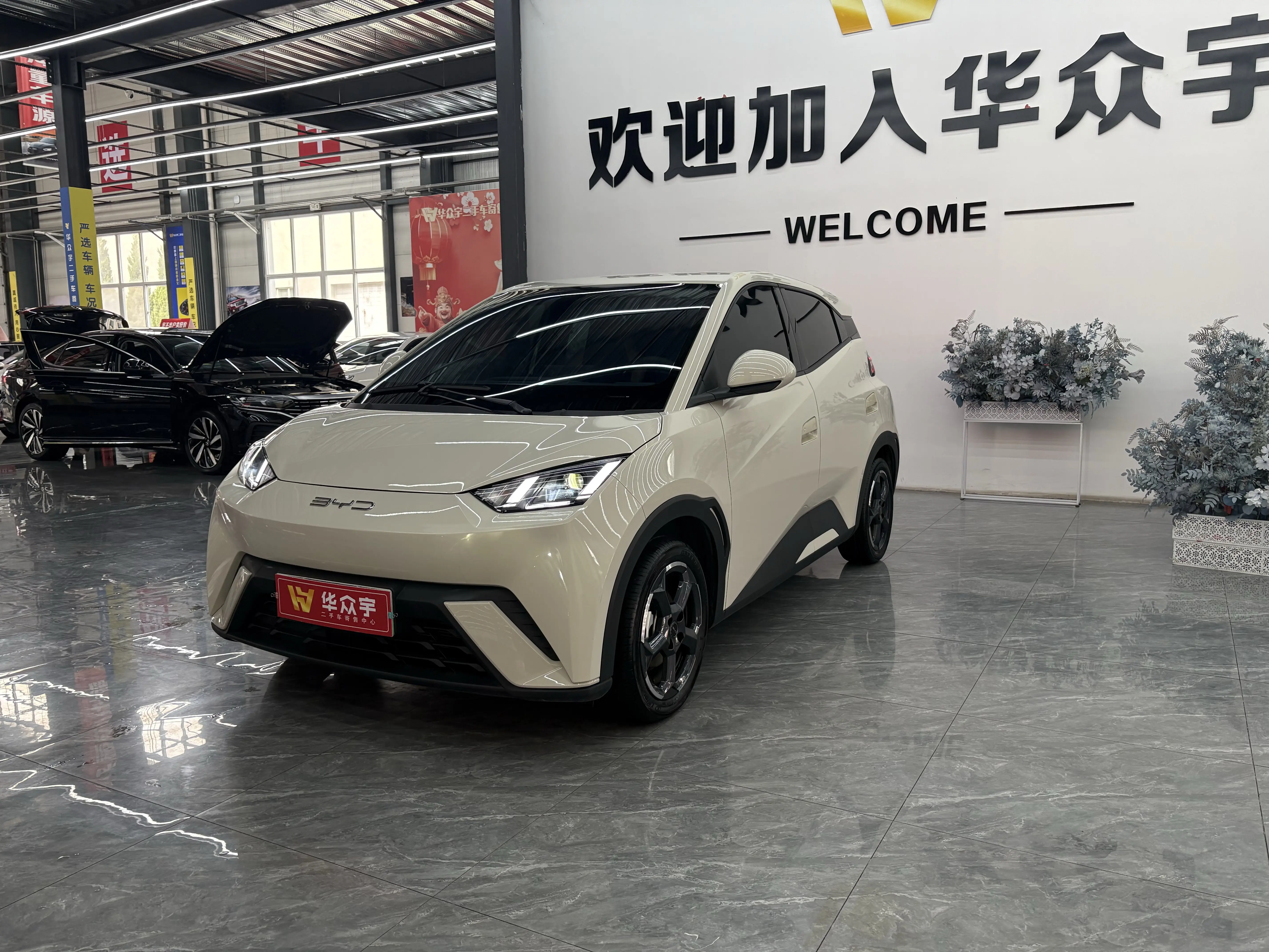 BYD Seagull  из Китая