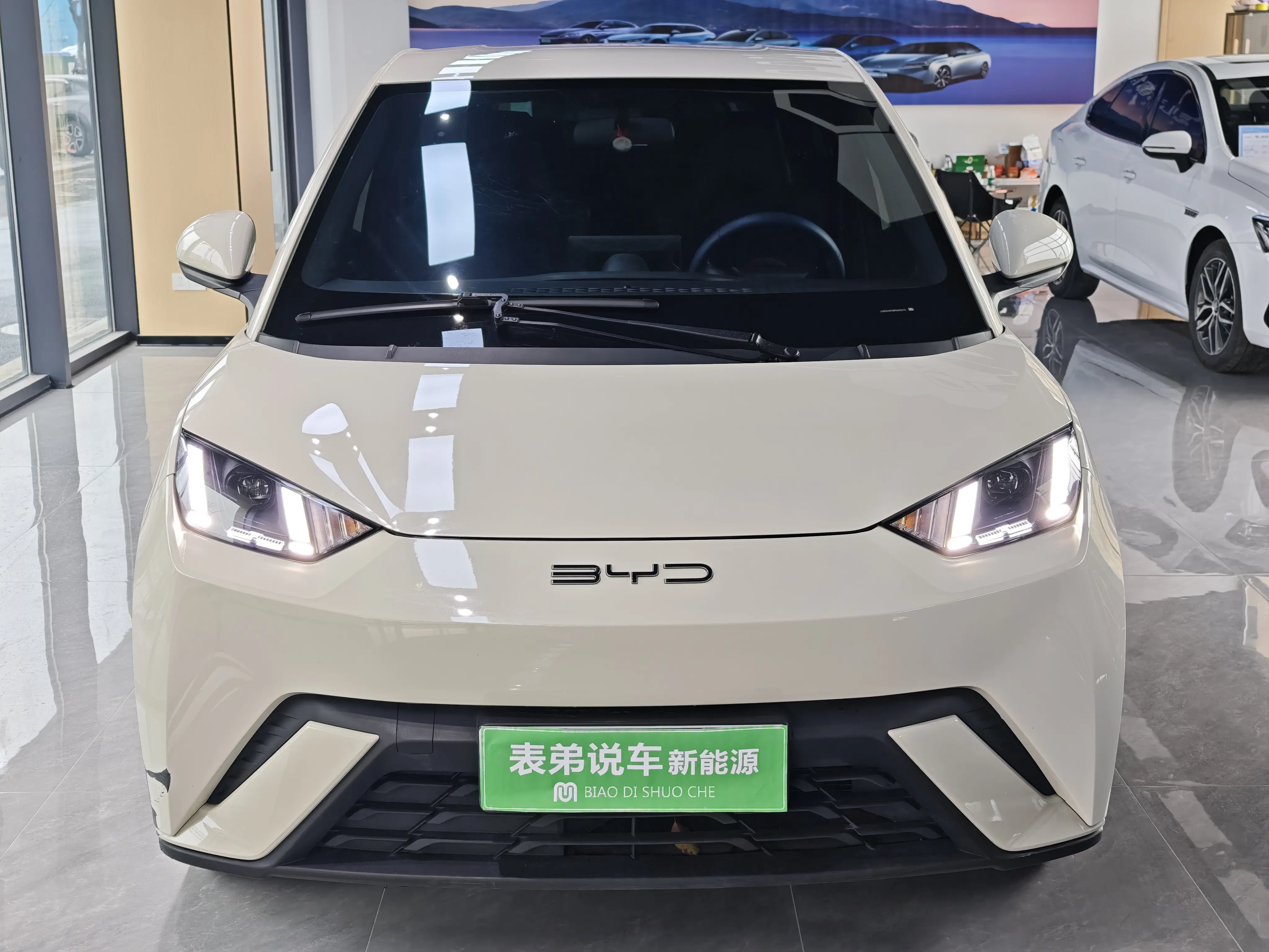 BYD Seagull  из Китая