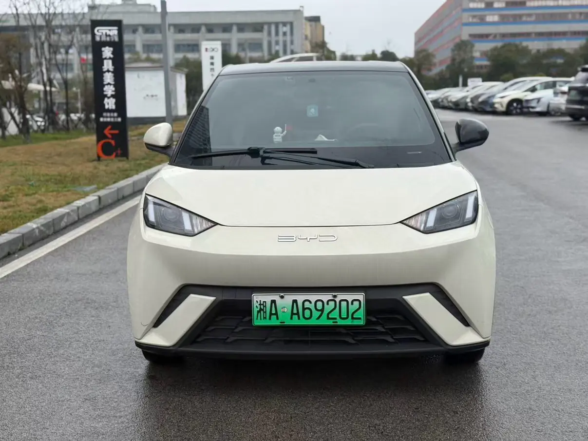 BYD Seagull  из Китая