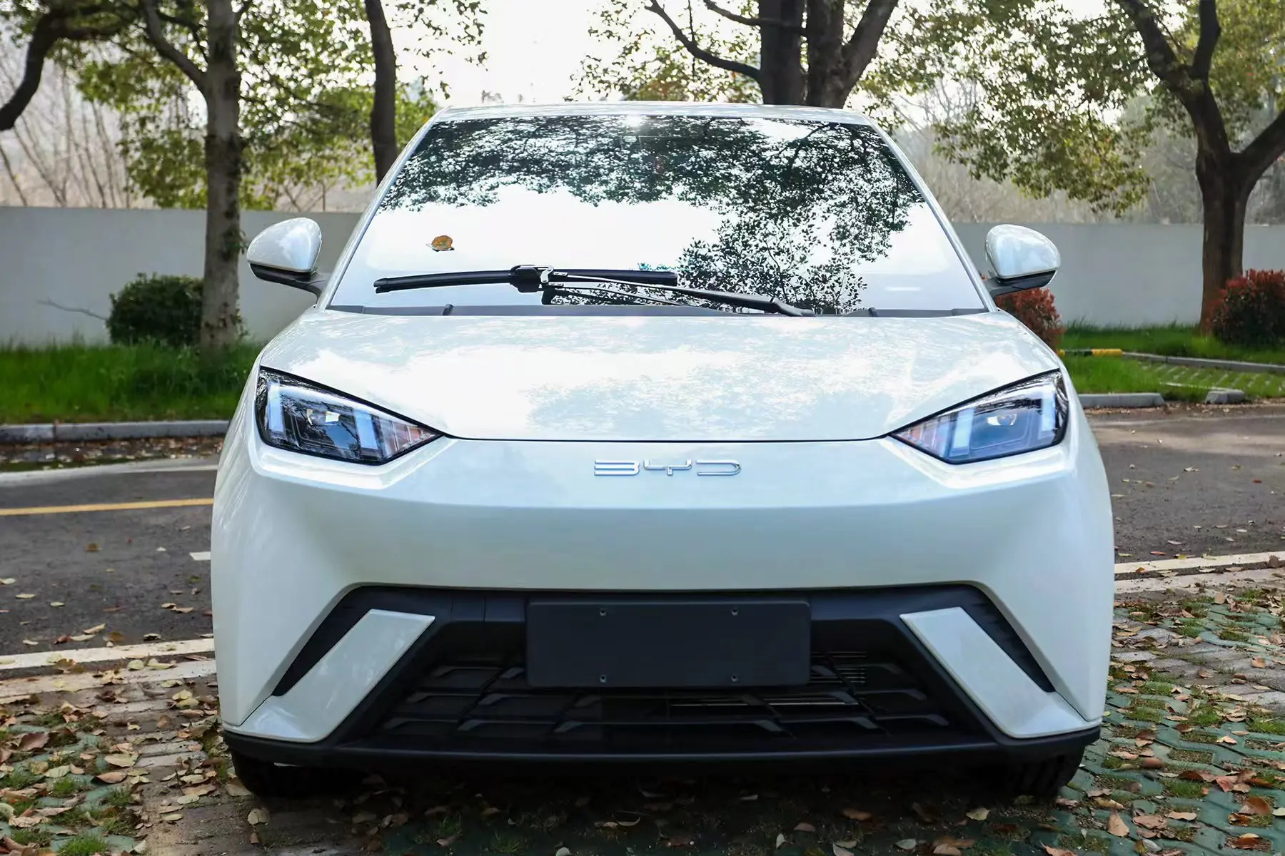 BYD Seagull  из Китая