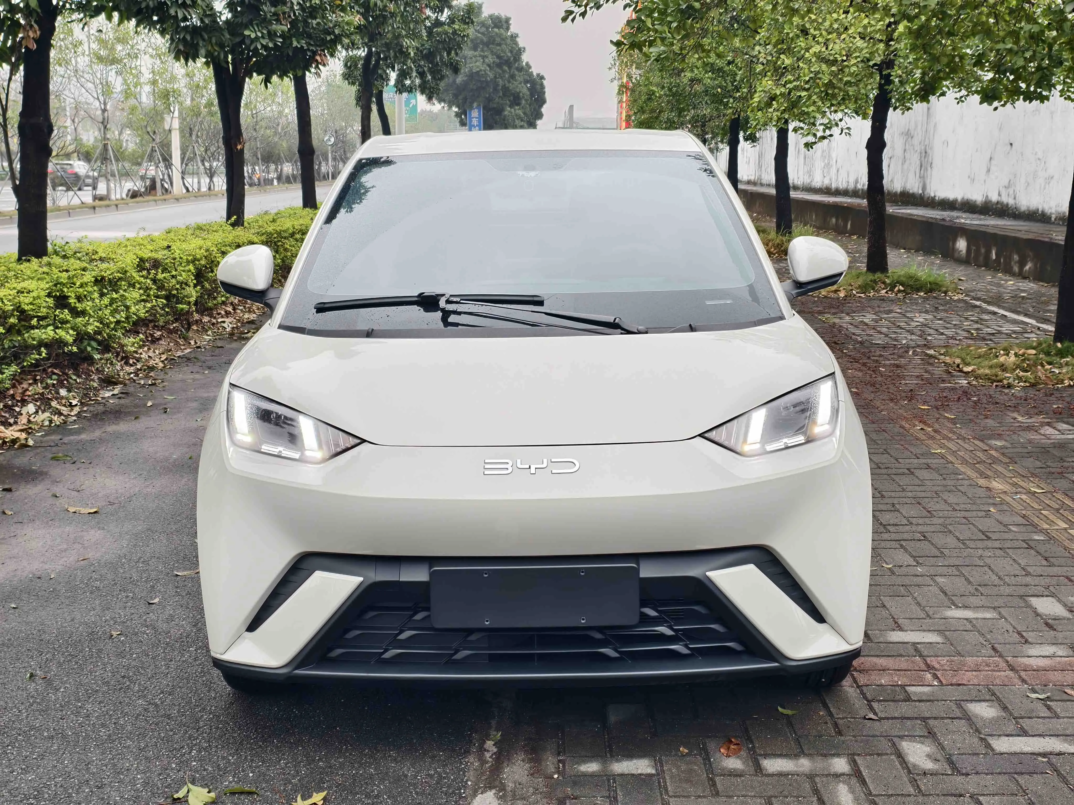 BYD Seagull  из Китая