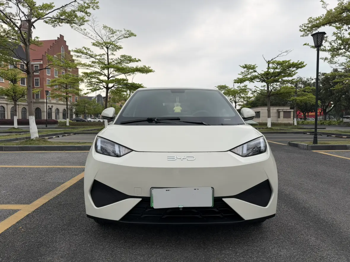 BYD Seagull  из Китая