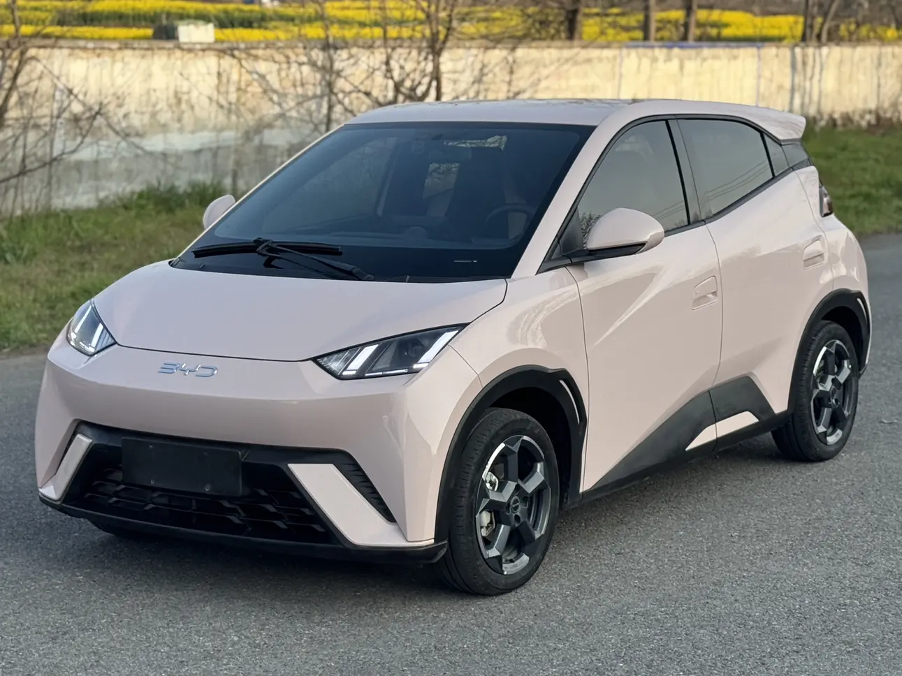 BYD Seagull  из Китая