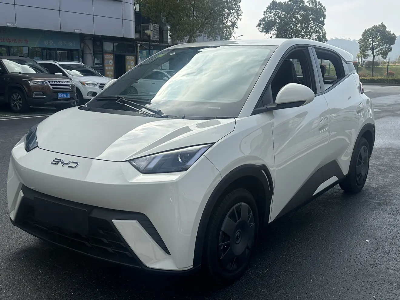 BYD Seagull  из Китая