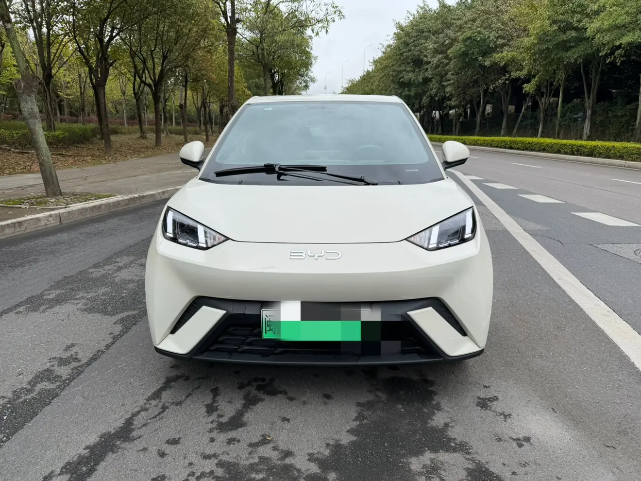 BYD Seagull  из Китая