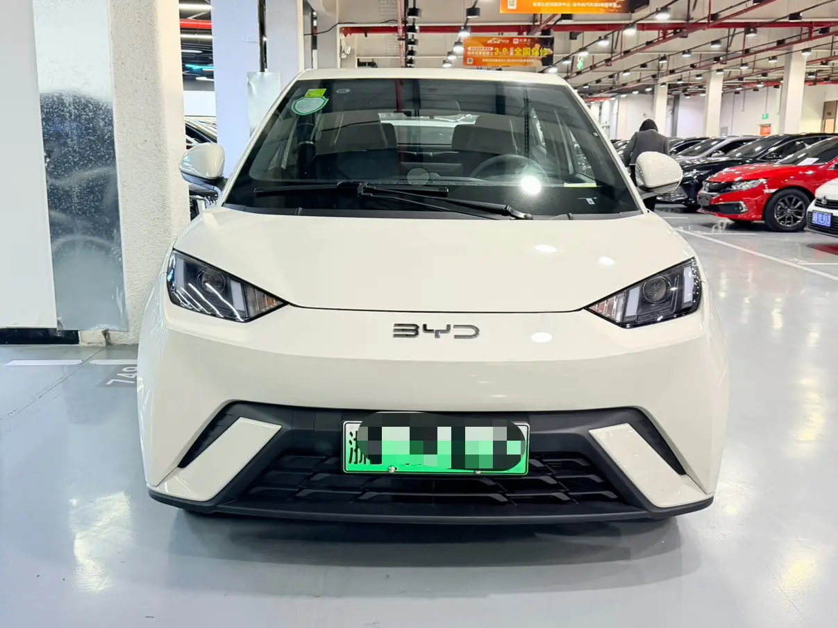 BYD Seagull  из Китая