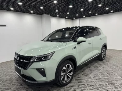 Wuling Star