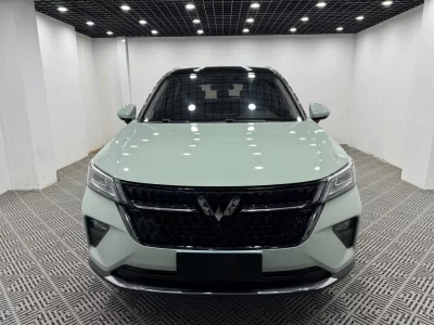 Wuling Star