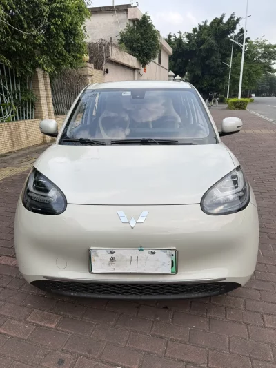 Wuling Bingo