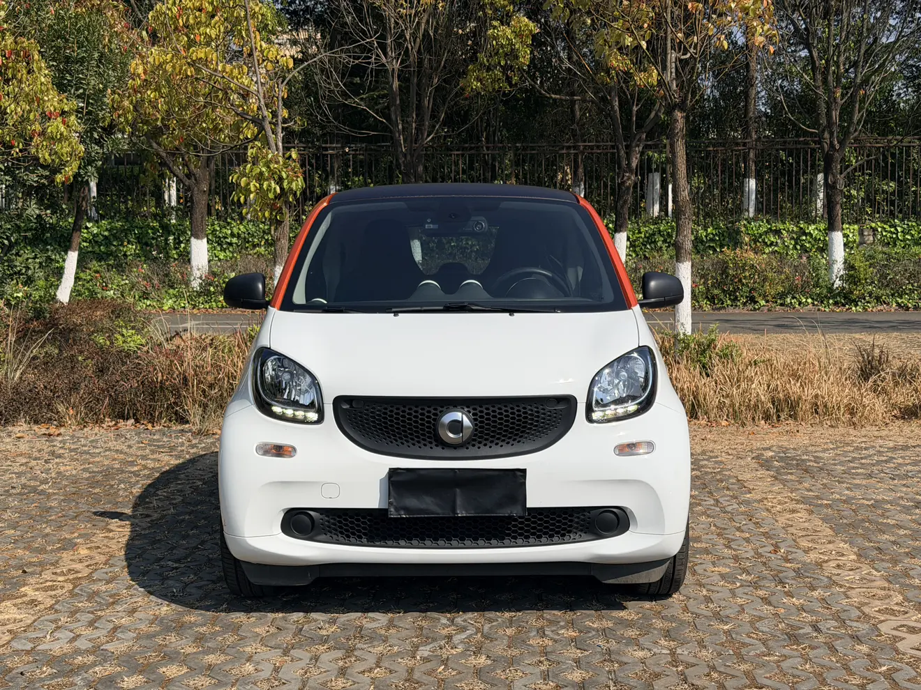 Smart fortwo  из Китая