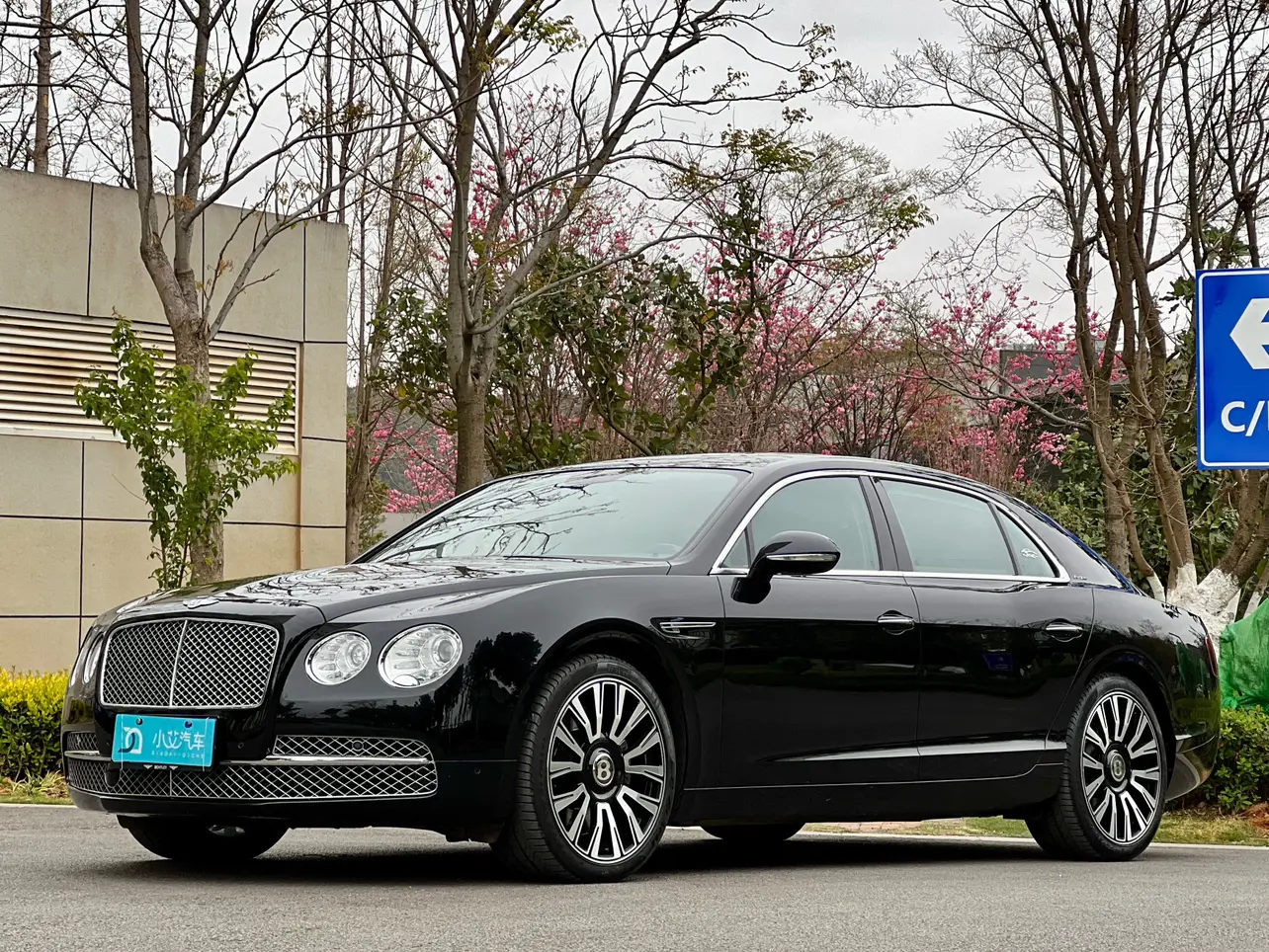 Bentley Galloping