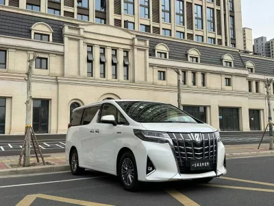 Toyota Elfa