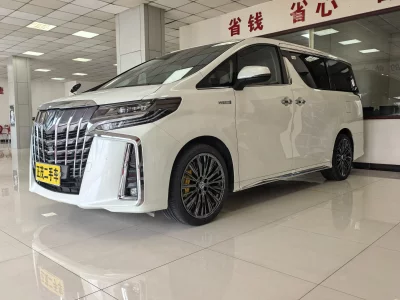 Toyota Elfa