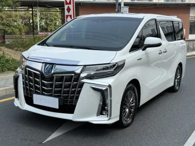 Toyota Elfa