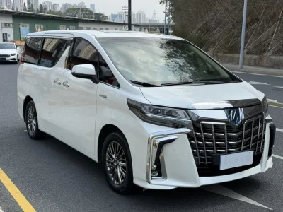 Toyota Elfa