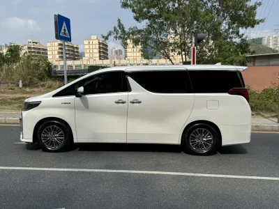 Toyota Elfa
