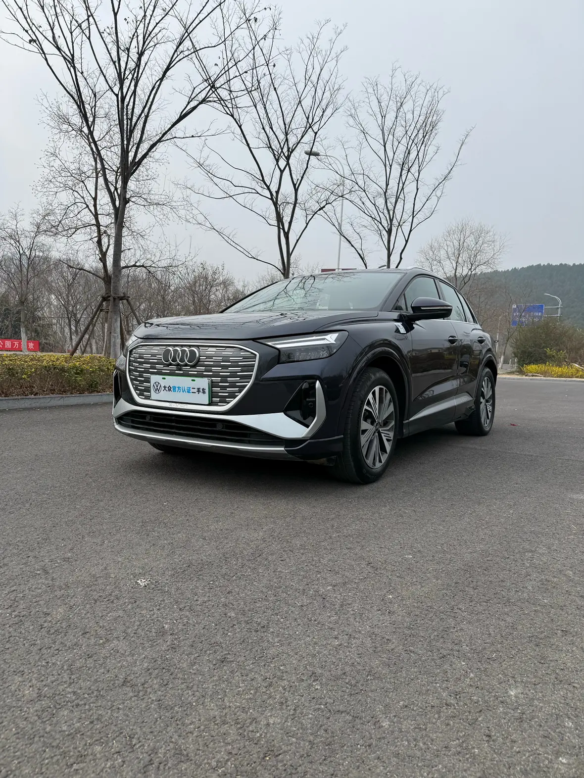 Audi Q4 e-tron  из Китая