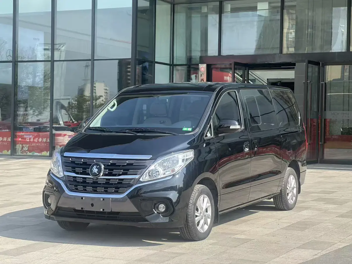 Forthing Lingzhi PLUS
