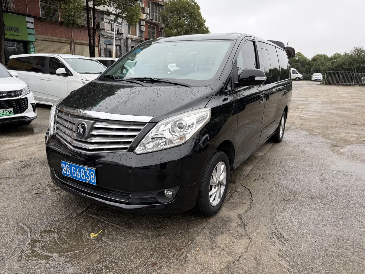 Forthing Lingzhi PLUS