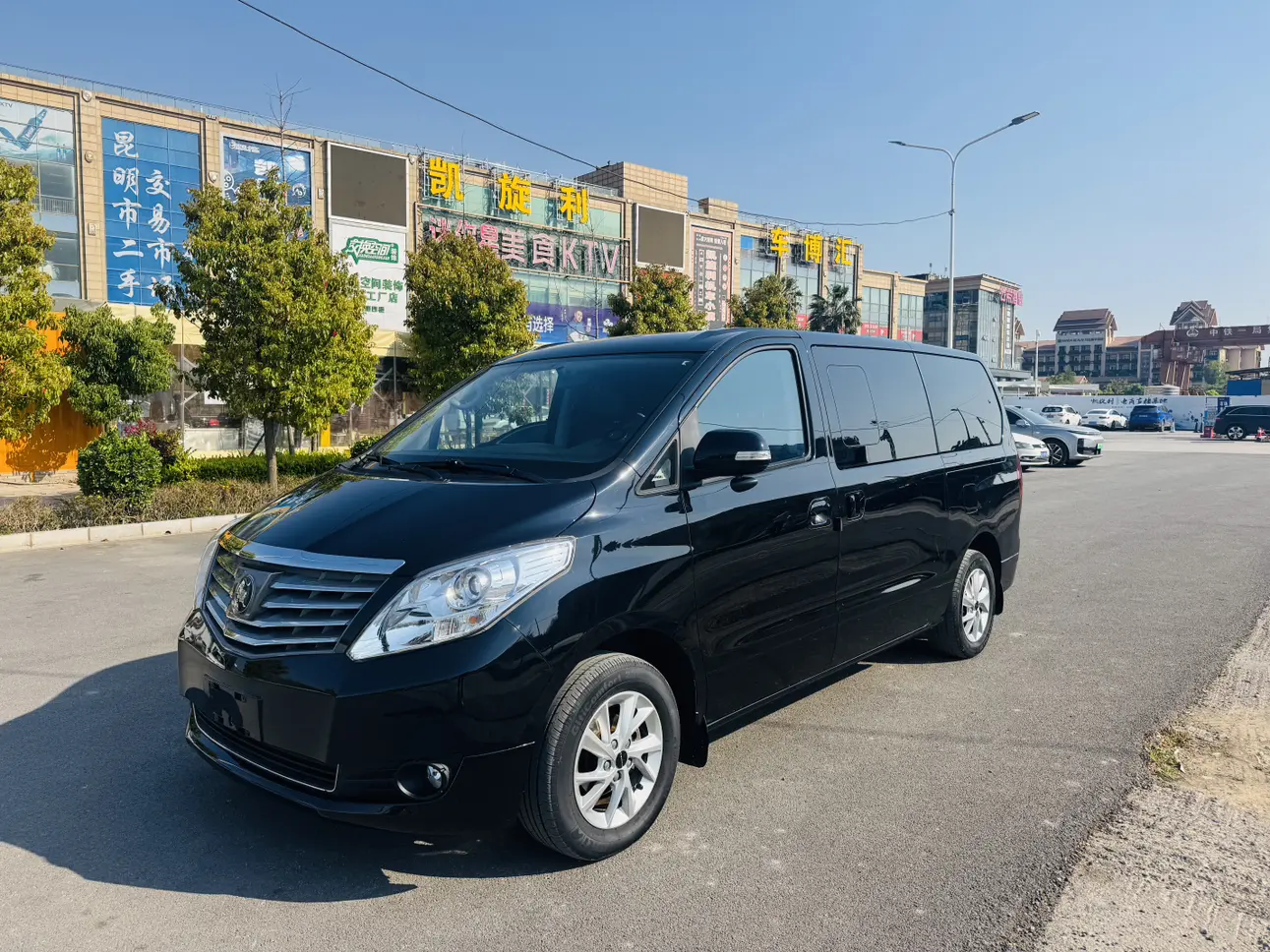 Forthing Lingzhi PLUS