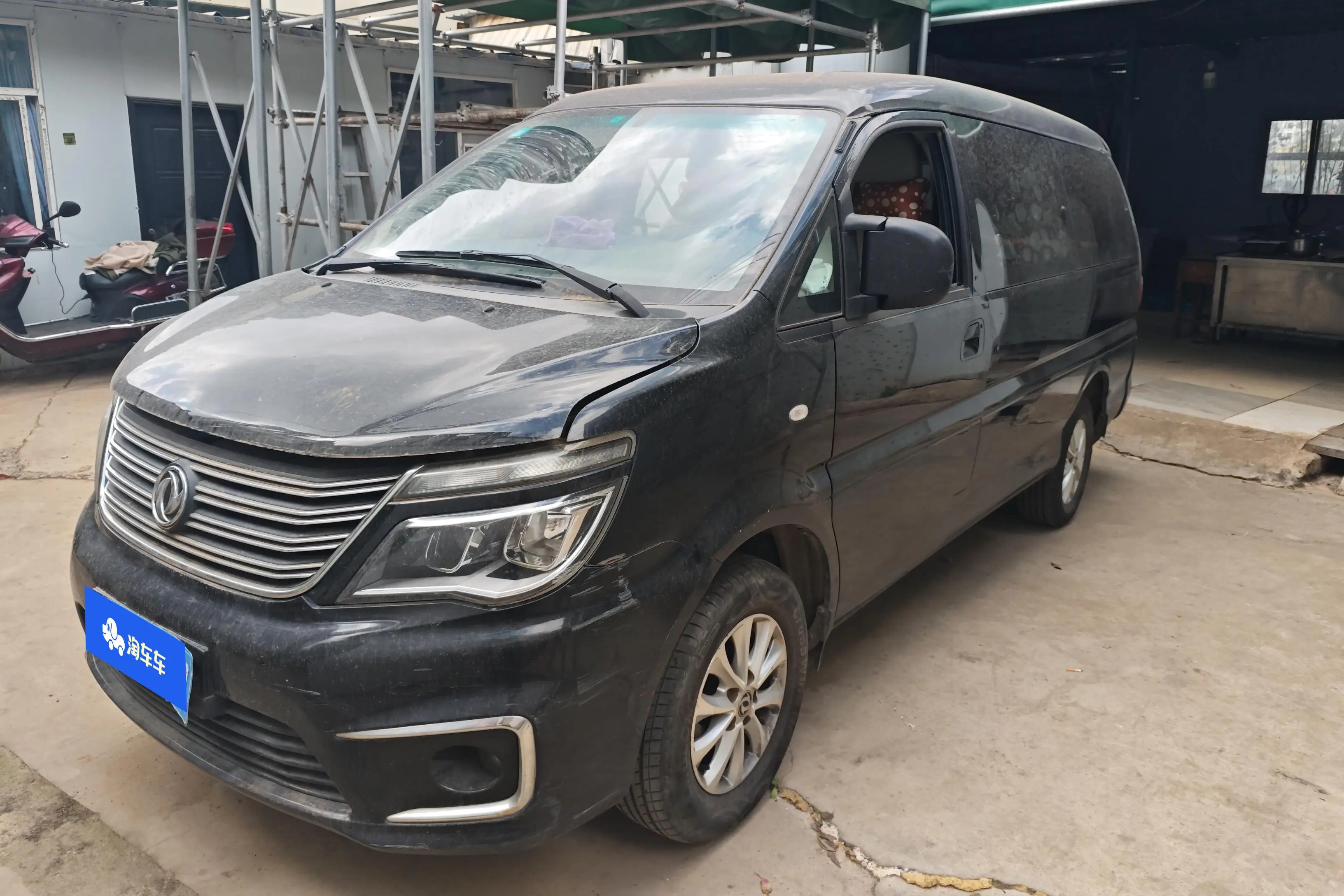 Forthing Lingzhi