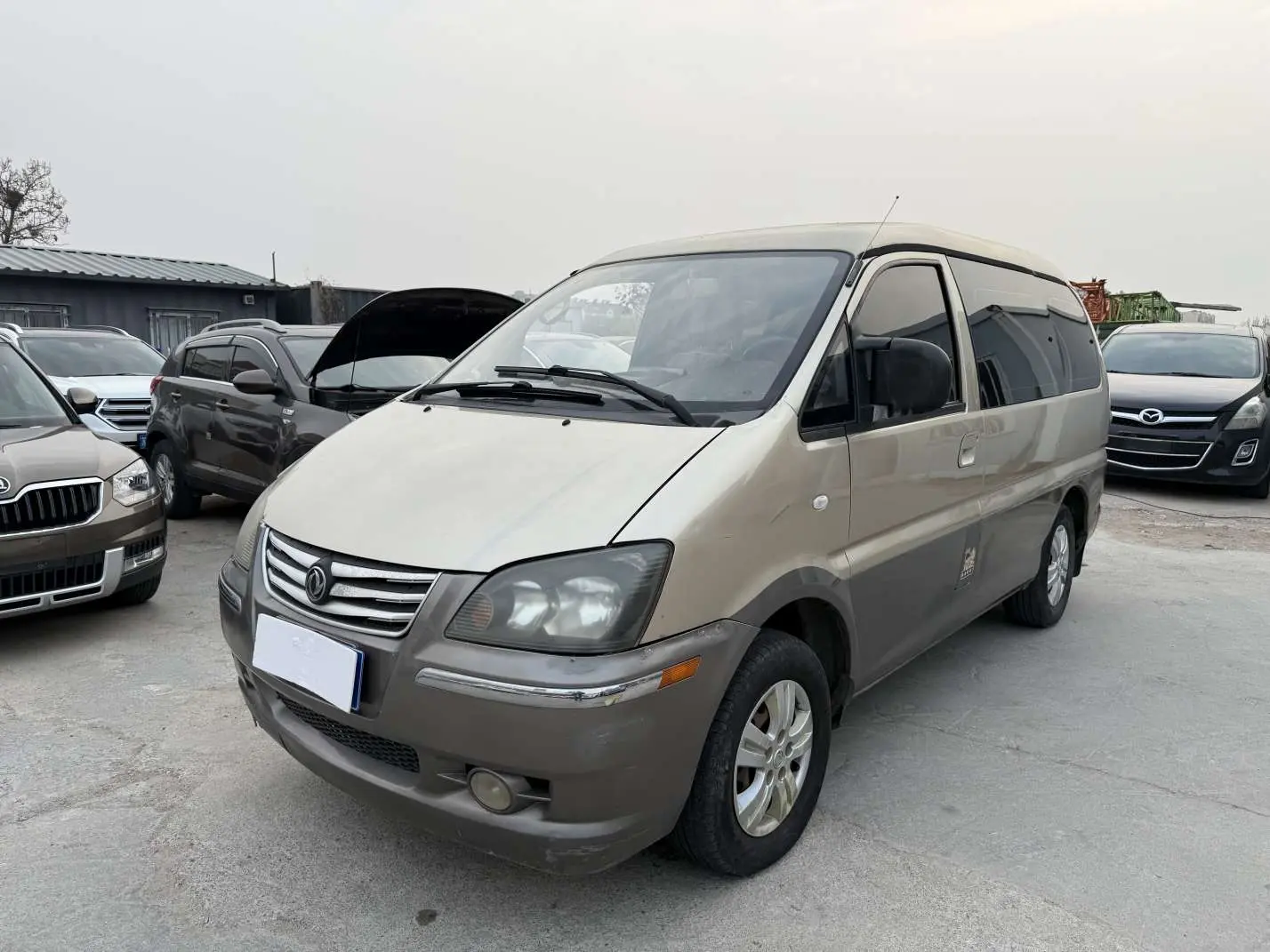 Forthing Lingzhi