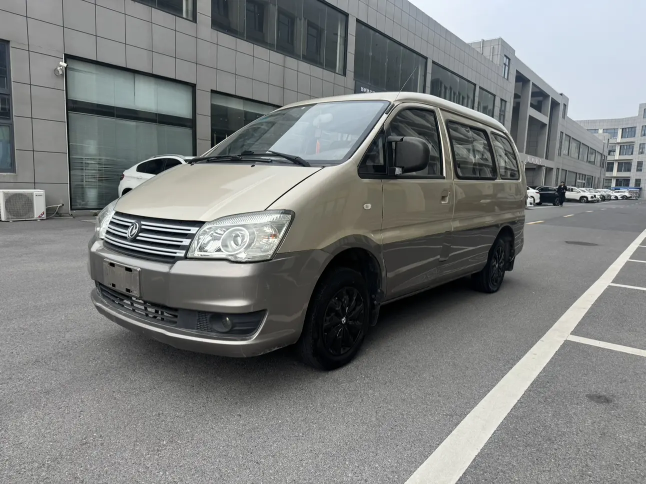 Forthing Lingzhi