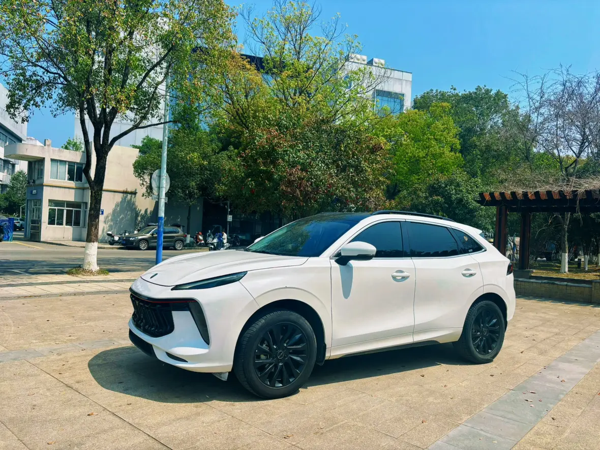 Forthing Fengxing T5 EVO  из Китая