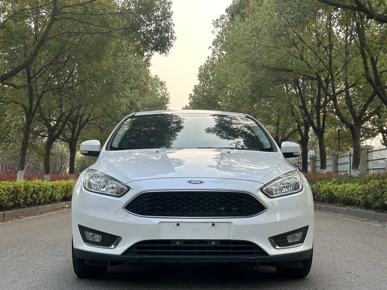 Ford Focus  из Китая