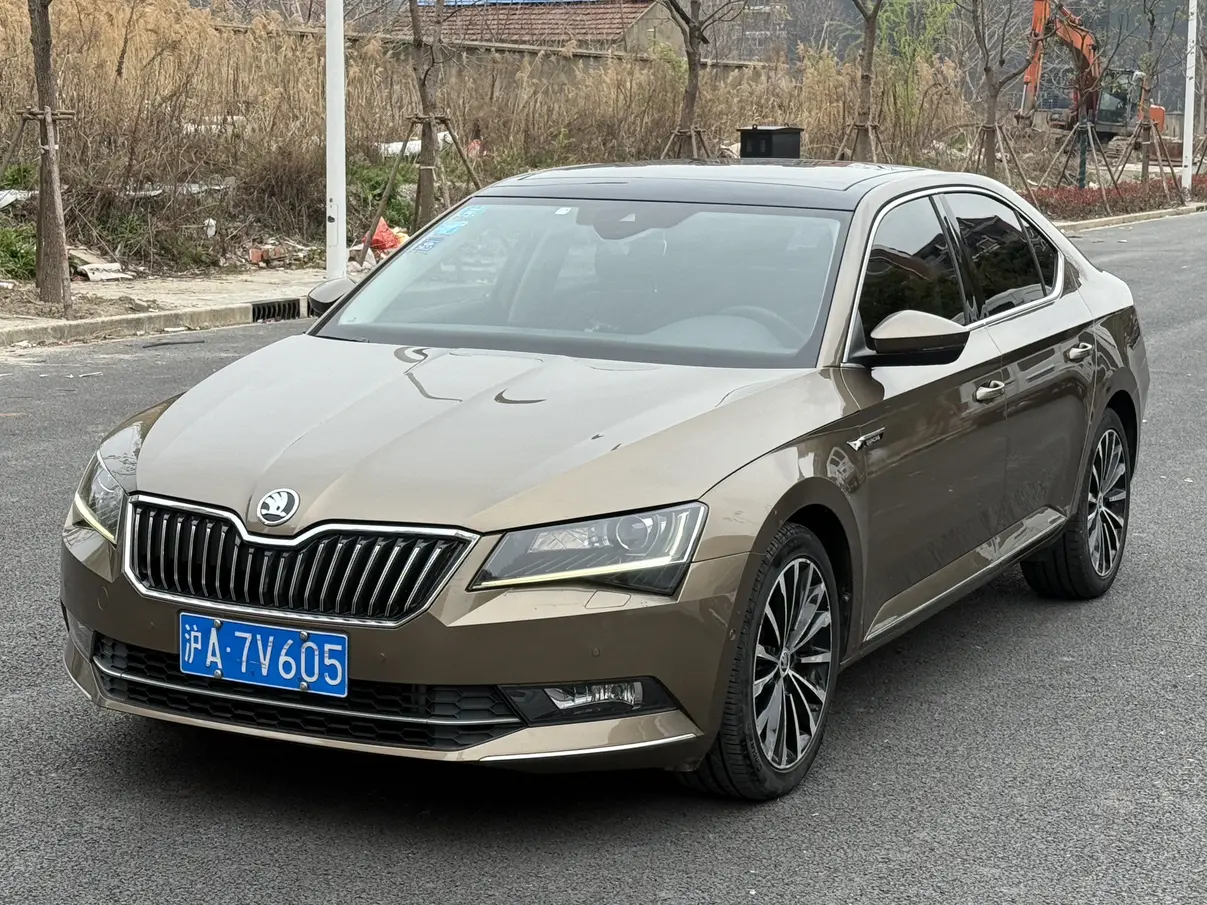 Skoda Speedy  из Китая