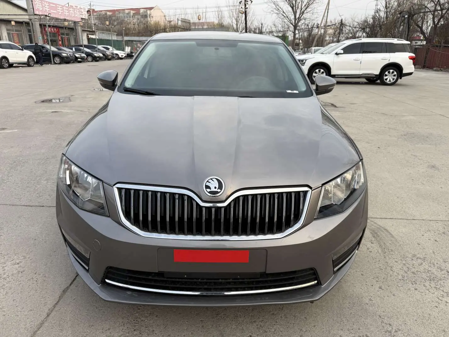 Skoda Octavia  из Китая