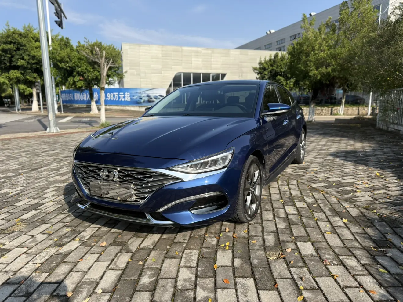 Hyundai Lafesta