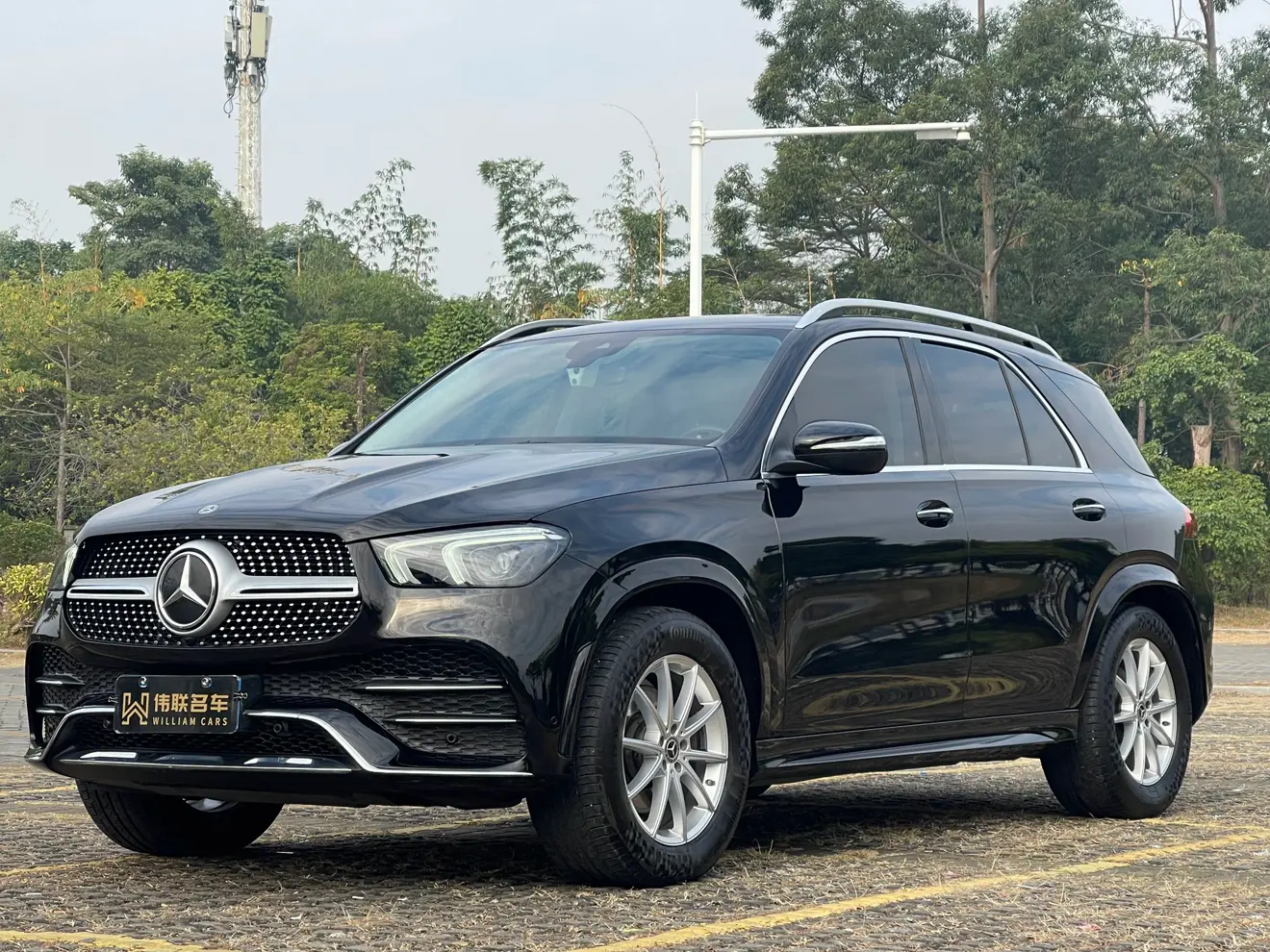 Mercedes-Benz GLE (Imported)