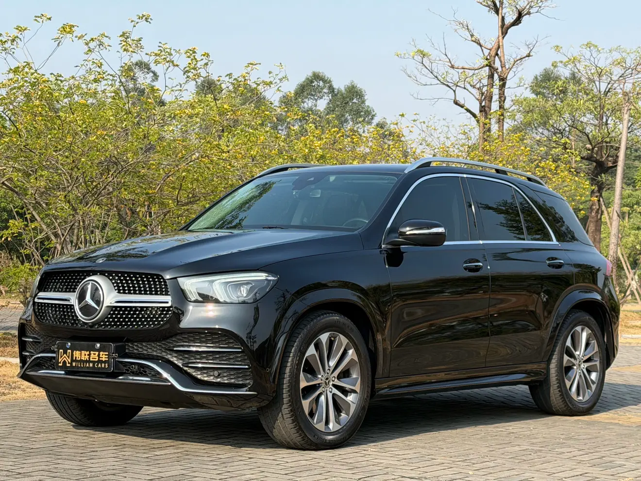 Mercedes-Benz GLE (Imported)