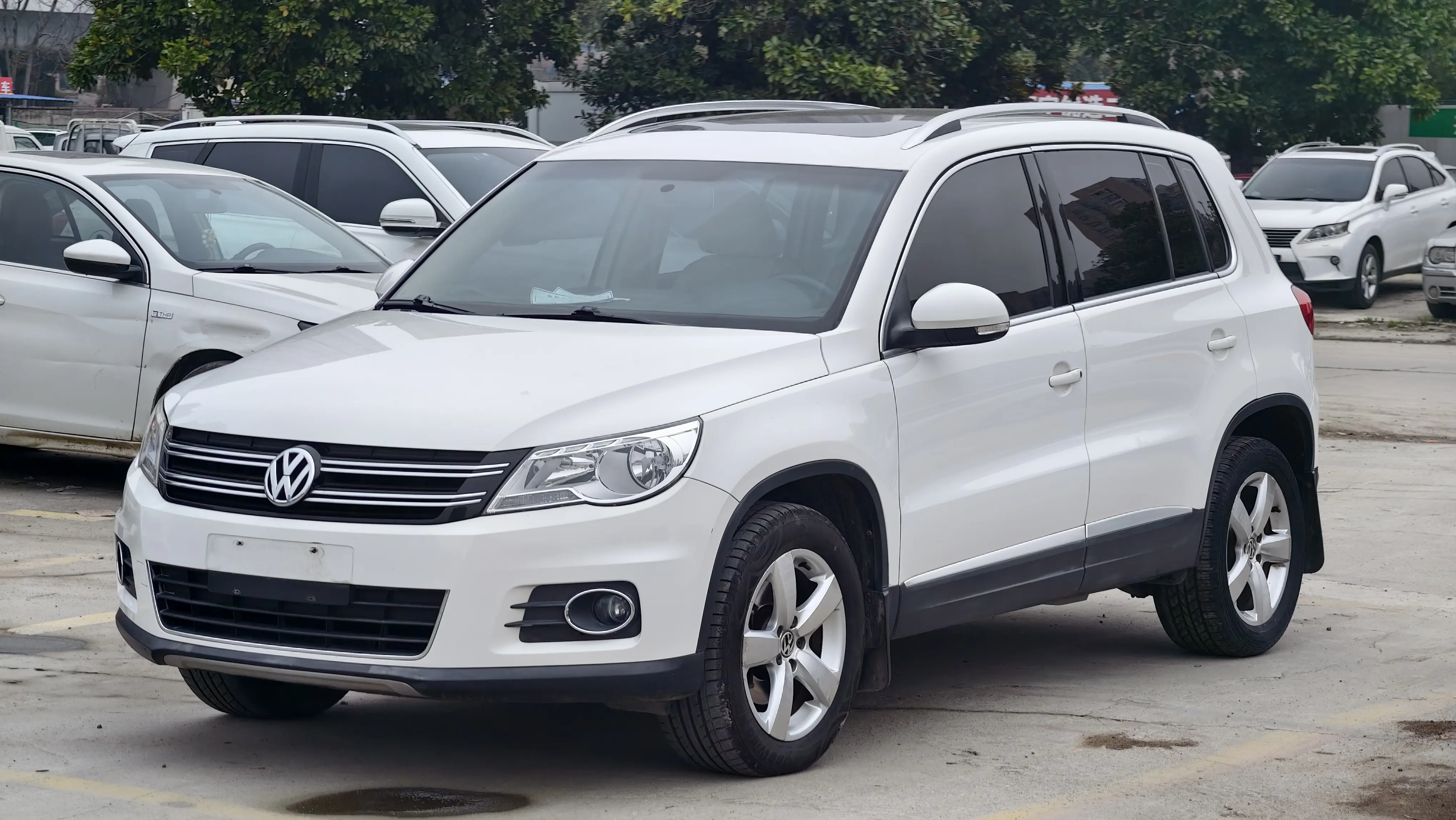 Volkswagen Tiguan (Tharu)