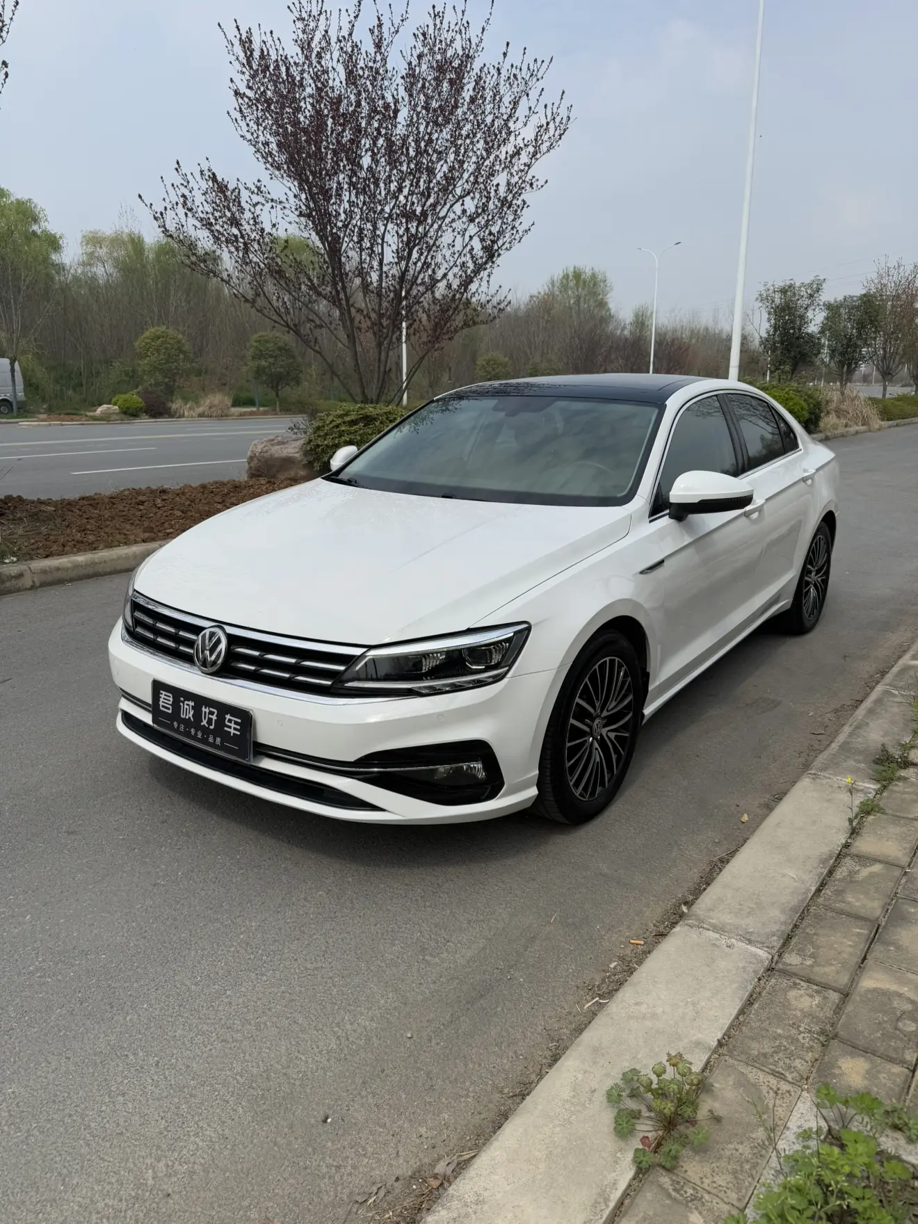 Volkswagen Lamando