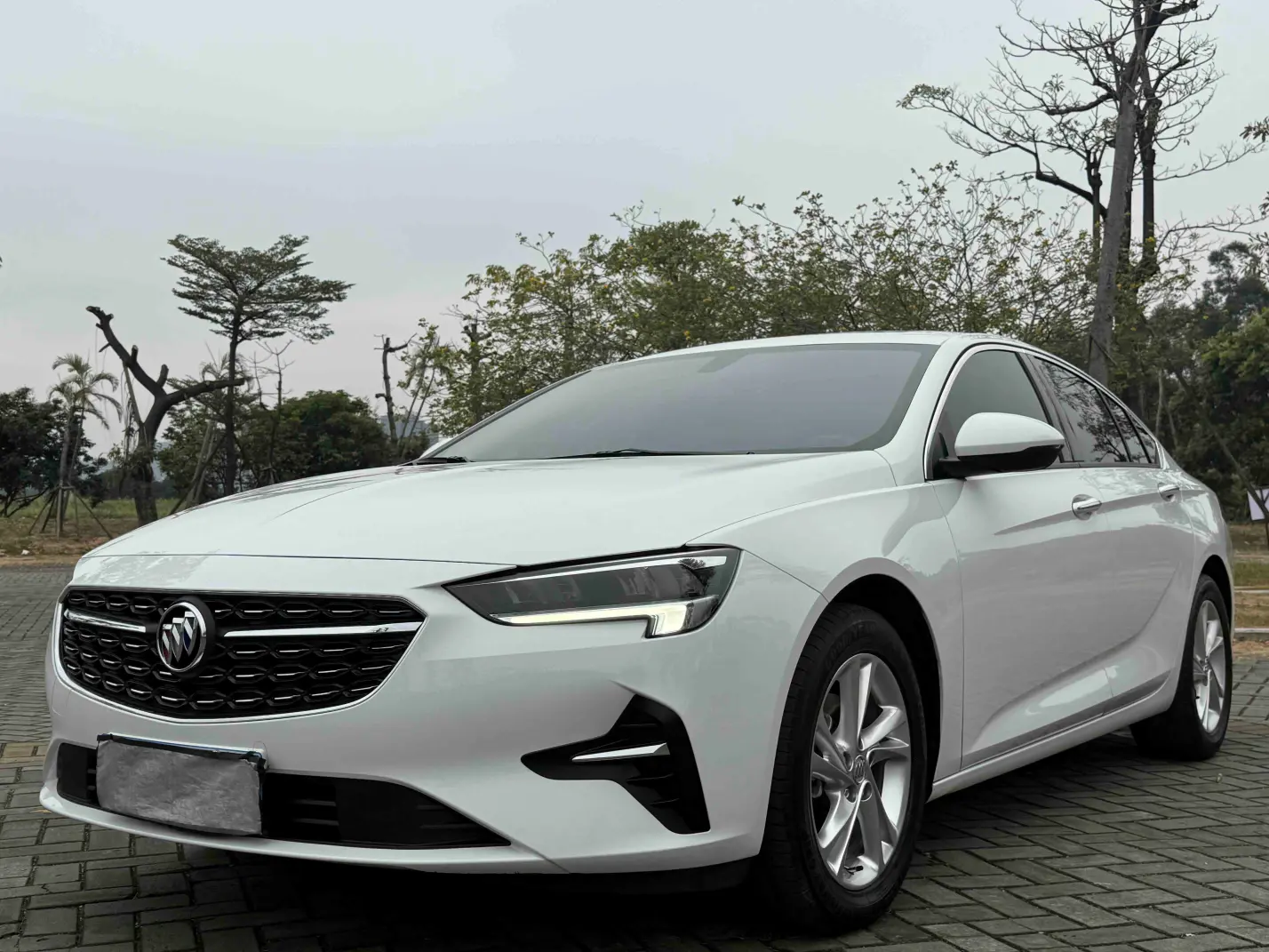 Buick Majesty