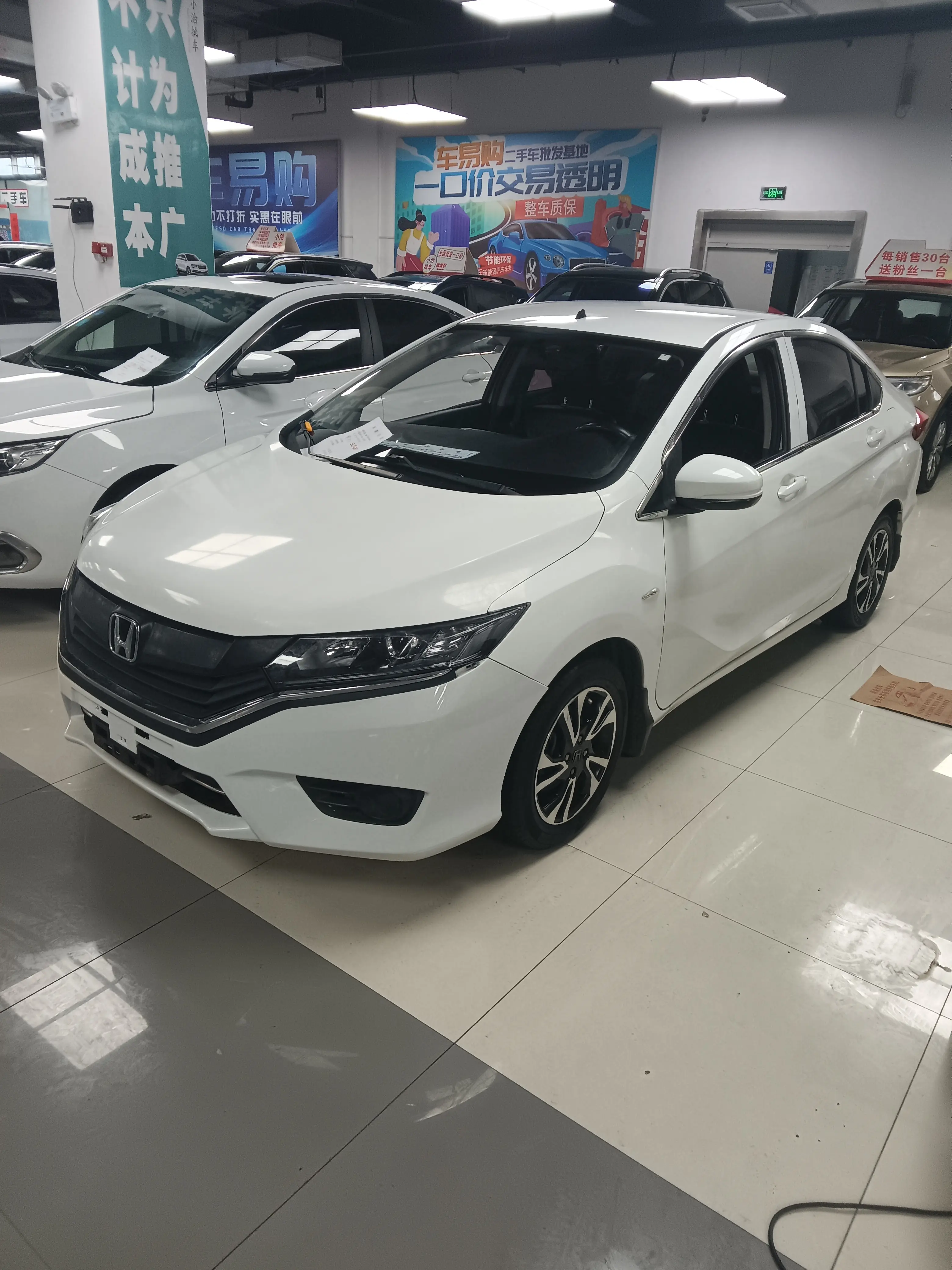 Honda Gray