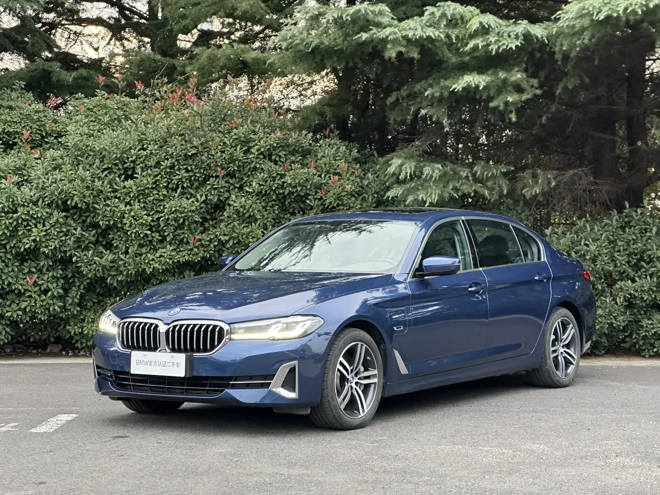 BMW 5 Series PHEV