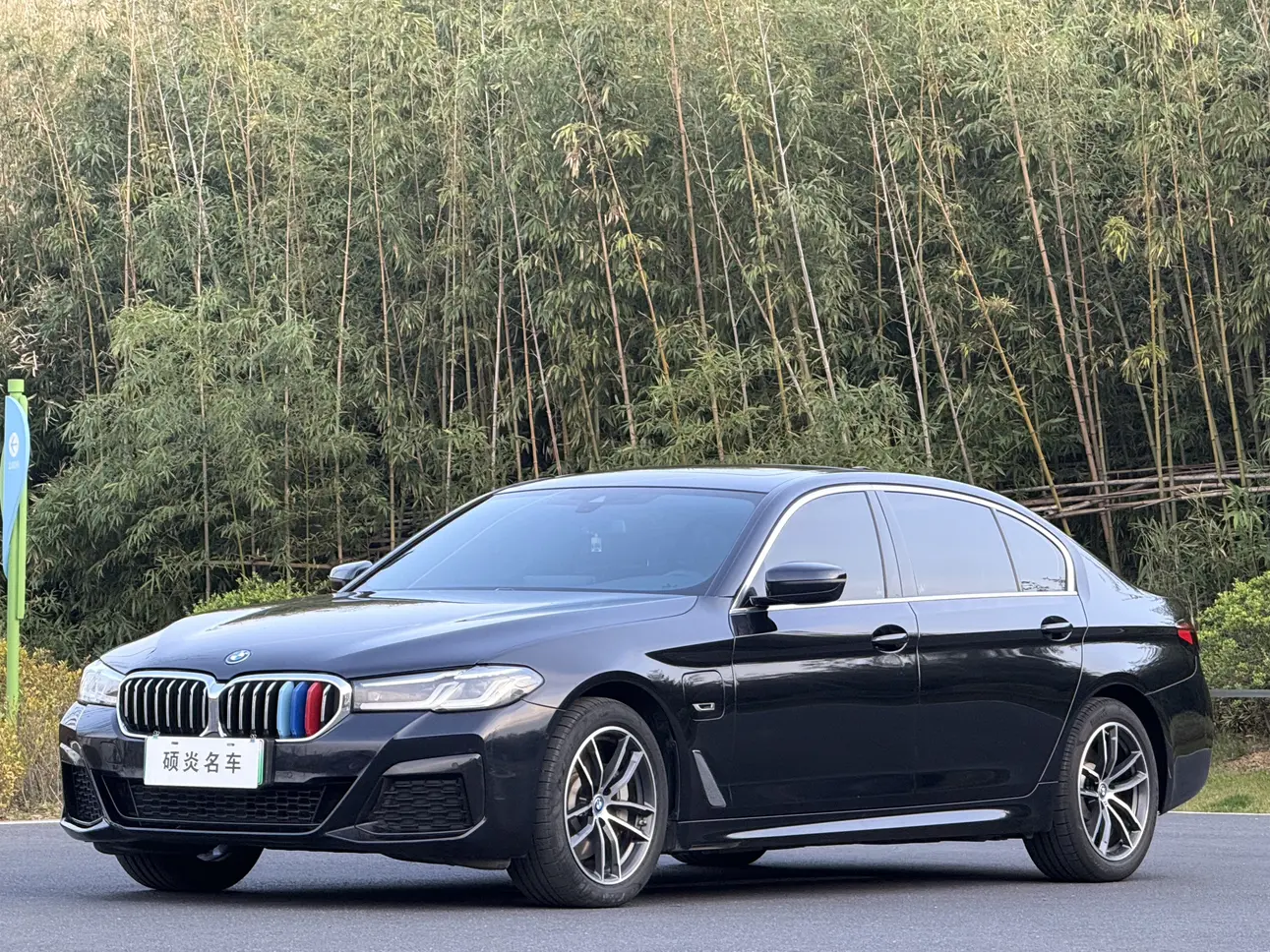 BMW 5 Series PHEV