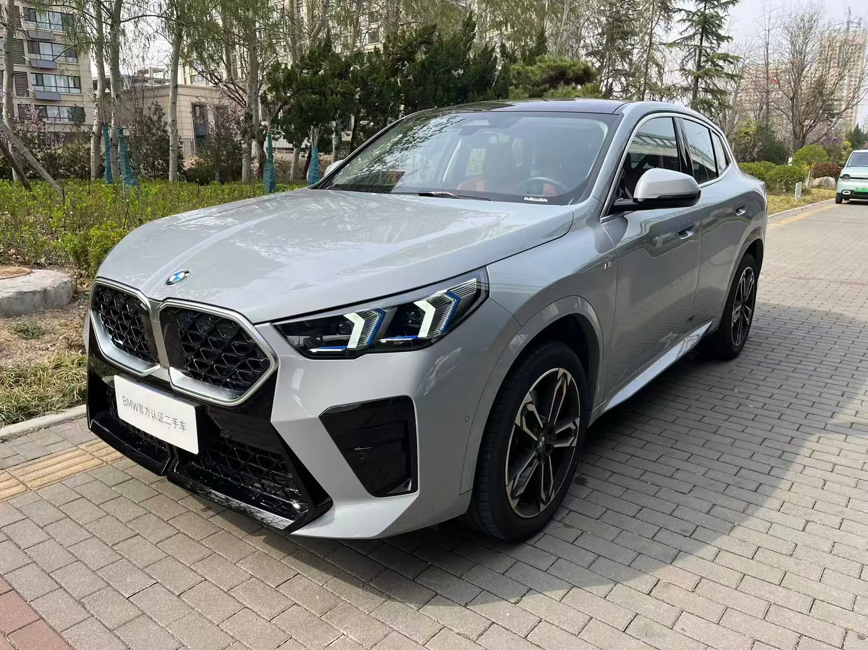 BMW X2