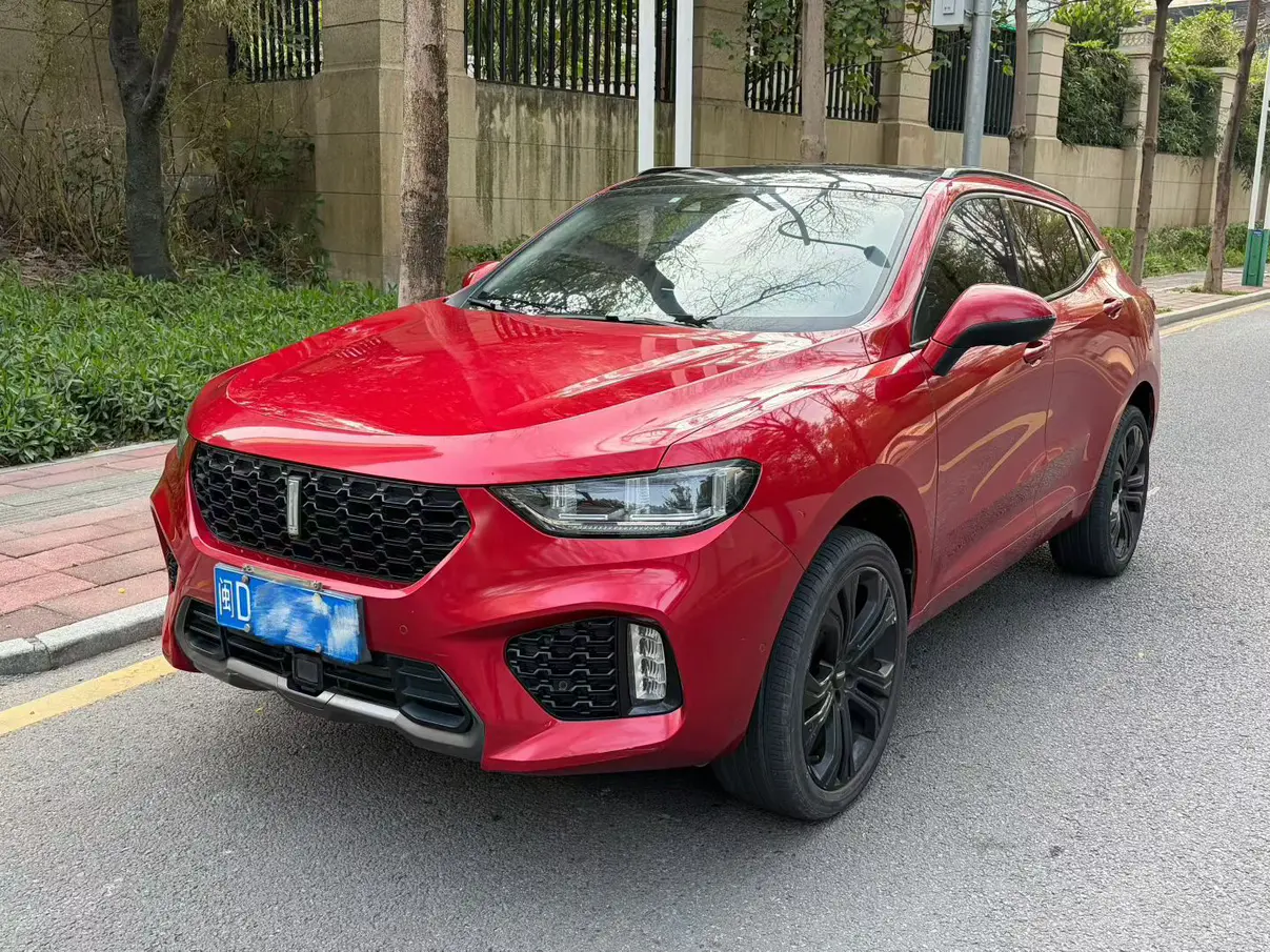 Wey Wei brand VV5
