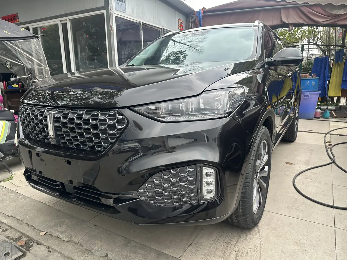 Wey Wei brand VV6