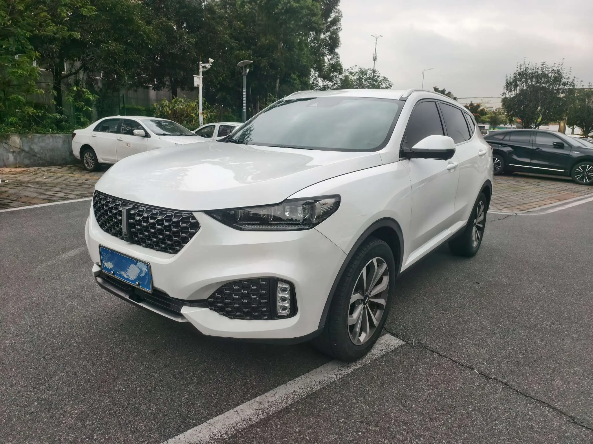 Wey Wei brand VV6