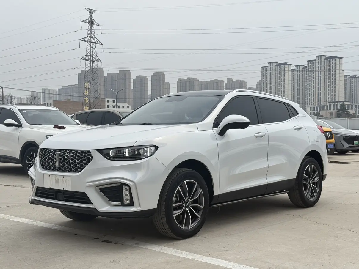 Wey Wei brand VV5