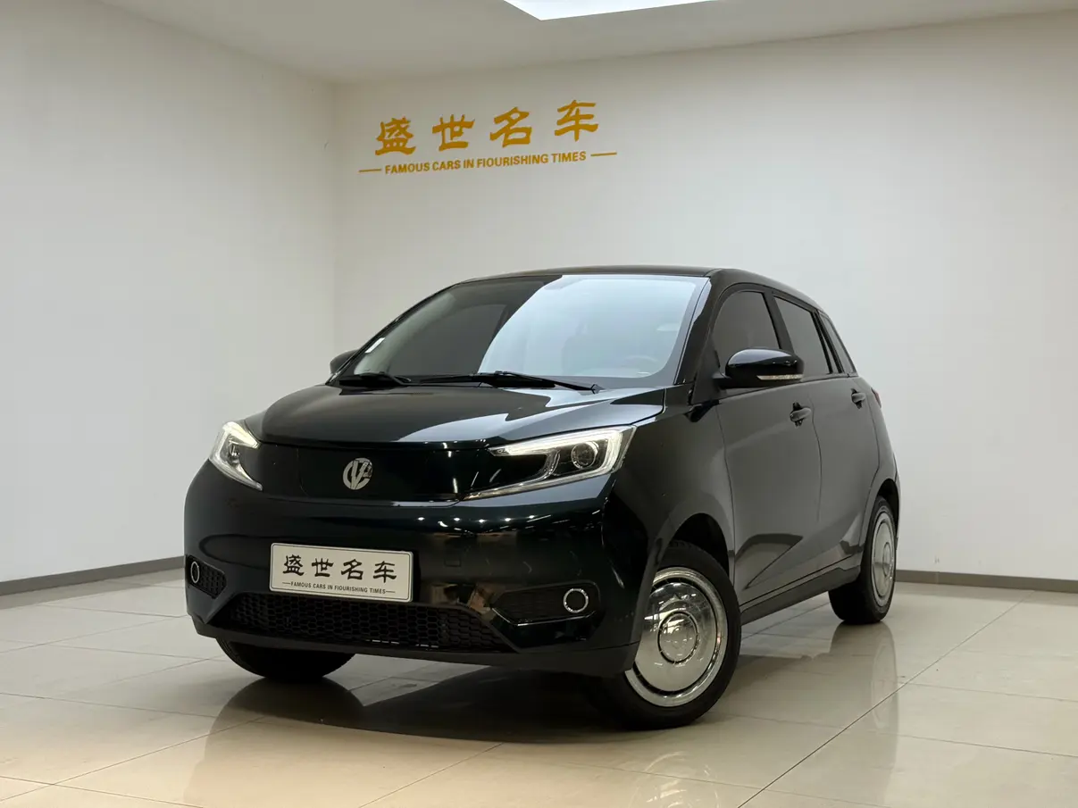 Electric House YOUNG Guang Xiaoxin  из Китая