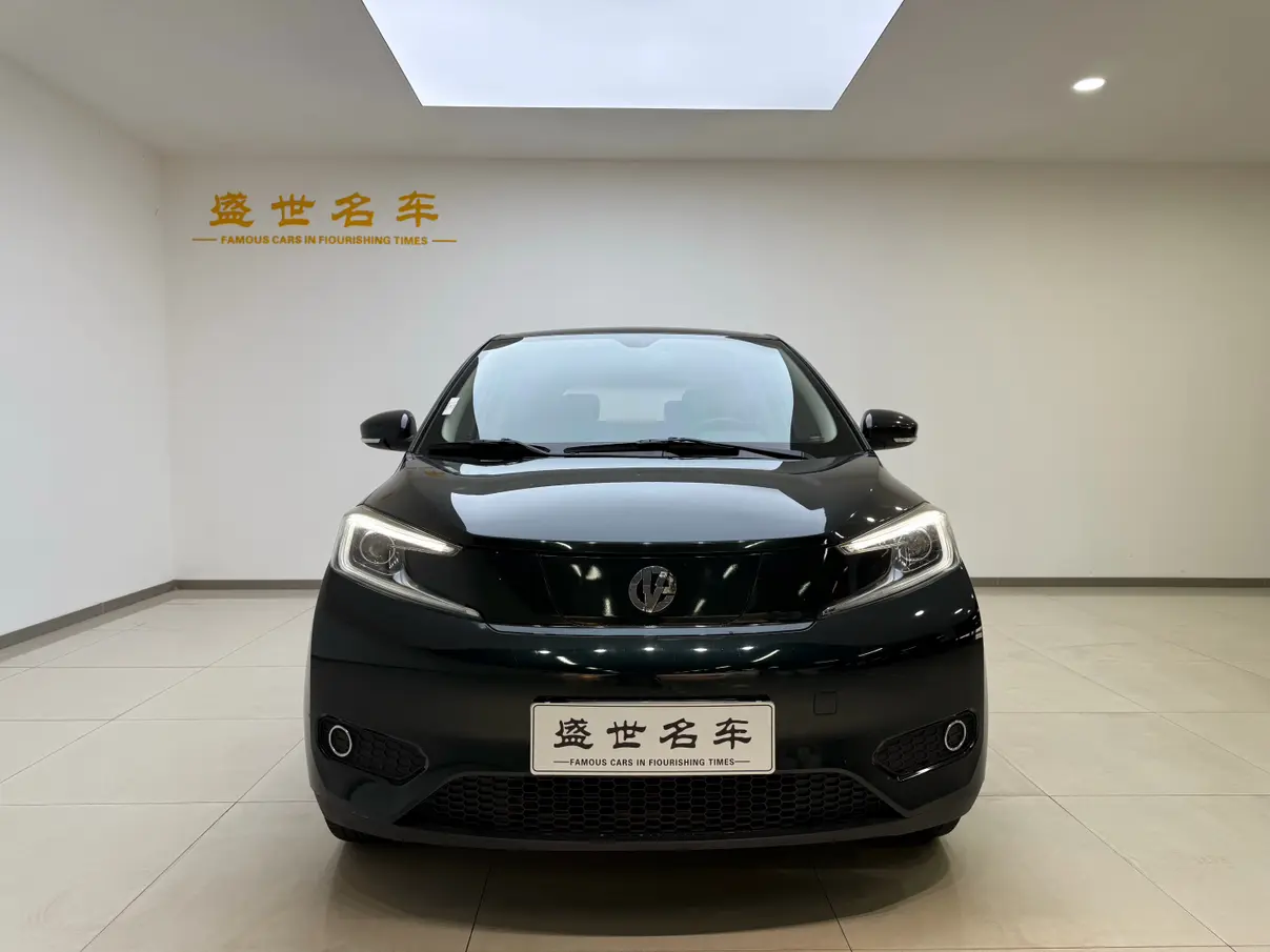 Electric House YOUNG Guang Xiaoxin  из Китая