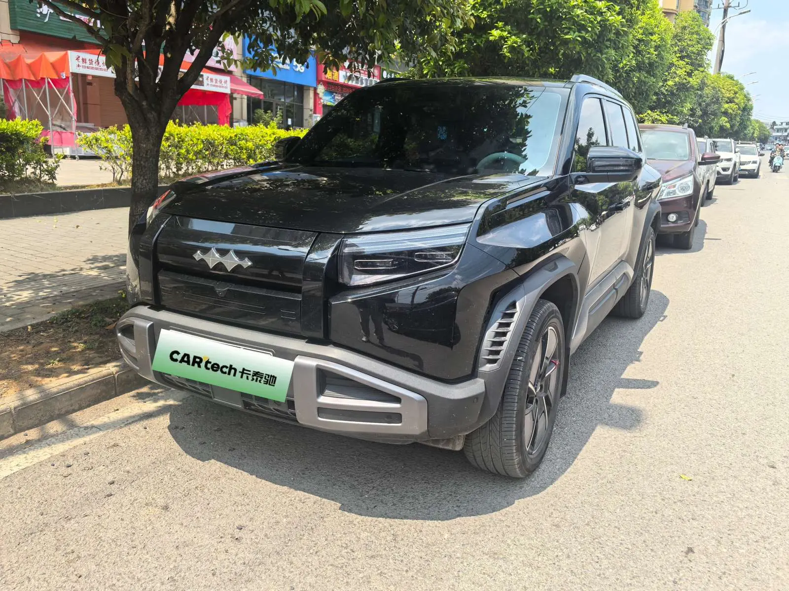 BYD Leopard Titanium 3