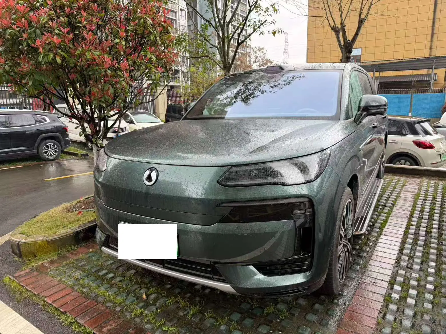 Denza Tengzhong N9 DM