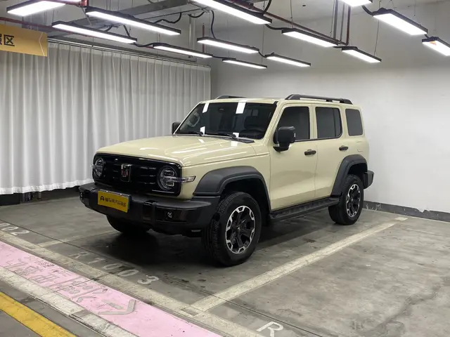 Tank 300 Hi4-T  из Китая